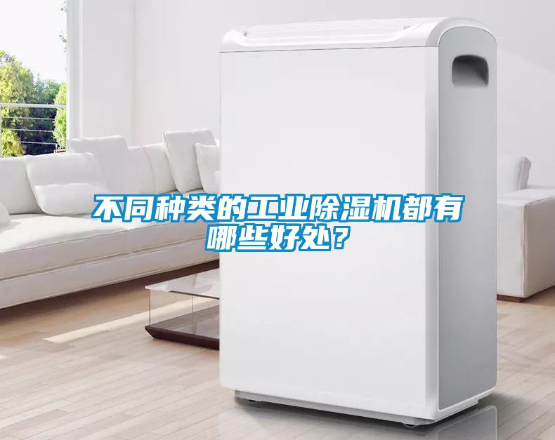 不同種類的工業除濕機都有哪些好處?
