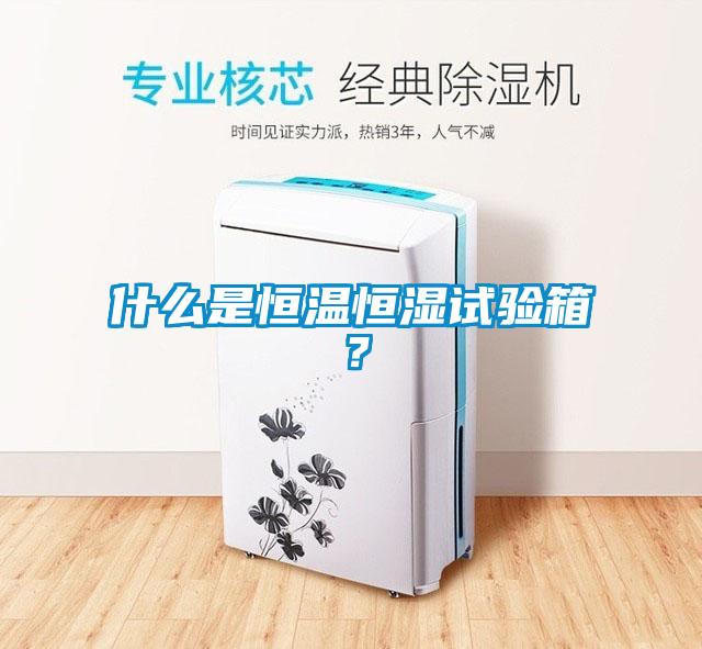 什么是恒溫恒濕試驗(yàn)箱?