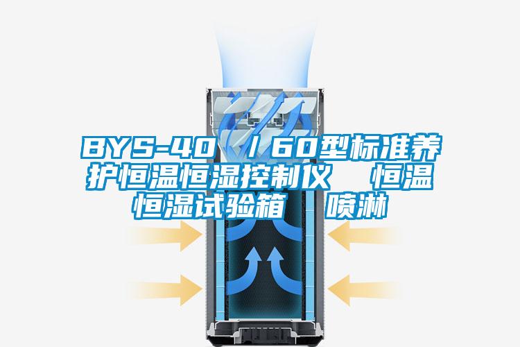 BYS-40 /60型標準養護恒溫恒濕控制儀  恒溫恒濕試驗箱  噴淋