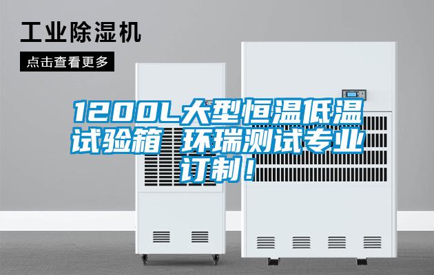 1200L大型恒溫低溫試驗箱 環瑞測試專業訂制!