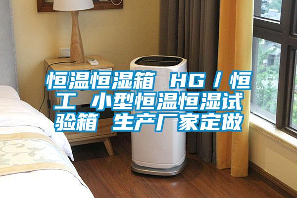 恒溫恒濕箱 HG/恒工 小型恒溫恒濕試驗箱 生產廠家定做