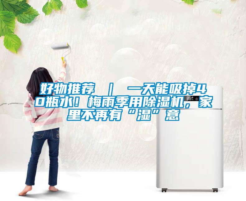 好物推薦 | 一天能吸掉40瓶水!梅雨季用除濕機,家里不再有“濕”意