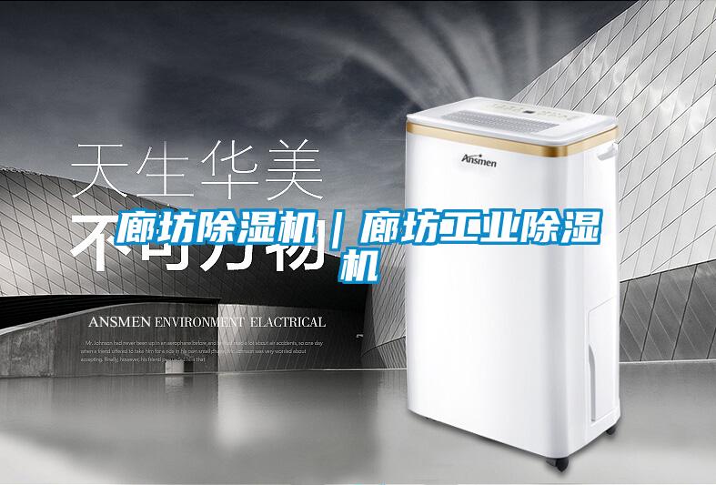 廊坊除濕機(jī)|廊坊工業(yè)除濕機(jī)