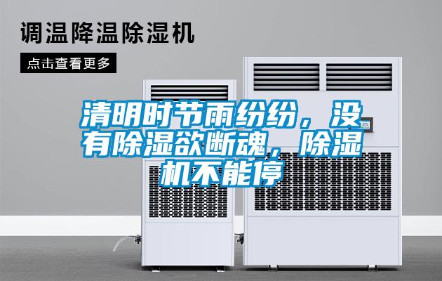 清明時節雨紛紛,沒有除濕欲斷魂,除濕機不能停