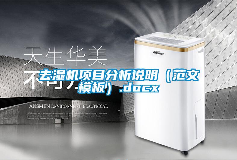 去濕機項目分析說明(范文模板).docx