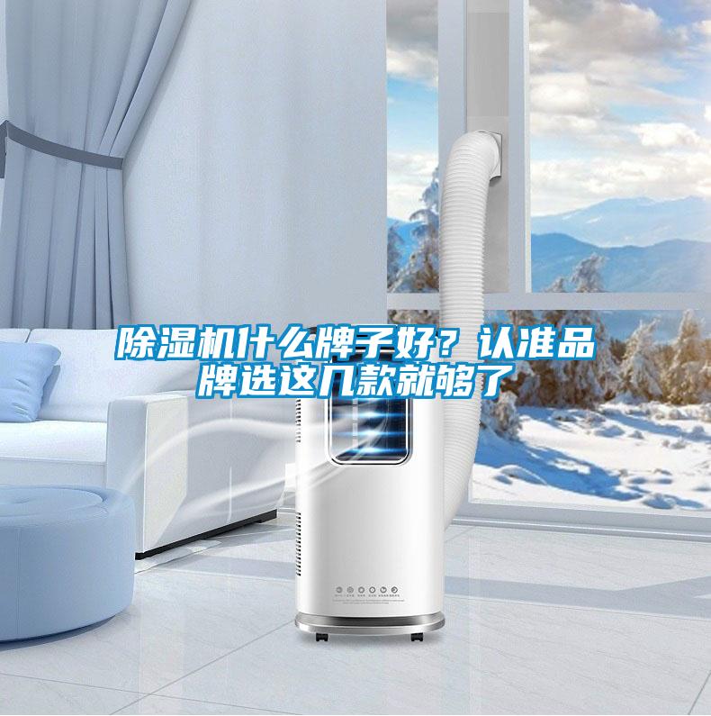 除濕機什么牌子好?認準品牌選這幾款就夠了