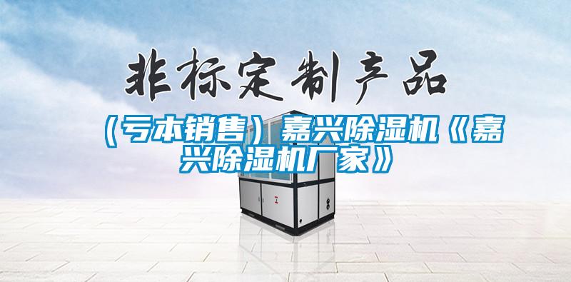 (虧本銷售)嘉興除濕機《嘉興除濕機廠家》