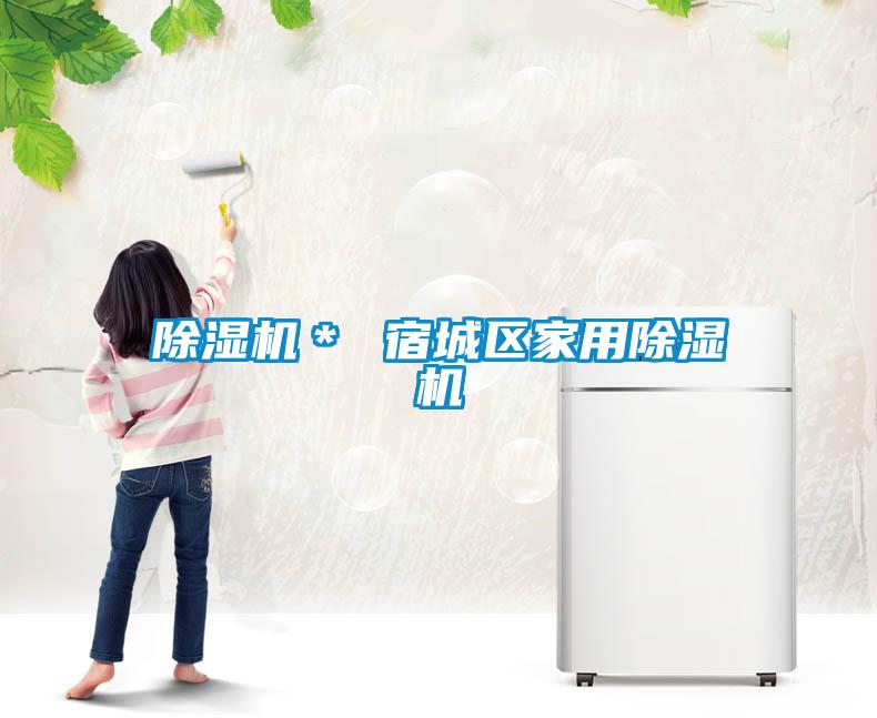 除濕機* 宿城區家用除濕機
