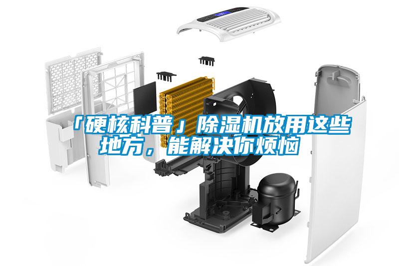 「硬核科普」除濕機放用這些地方,能解決你煩惱
