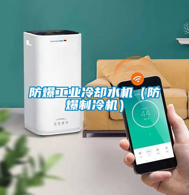 防爆工業冷卻水機(防爆制冷機)