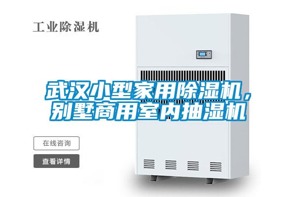 武漢小型家用除濕機，別墅商用室內抽濕機