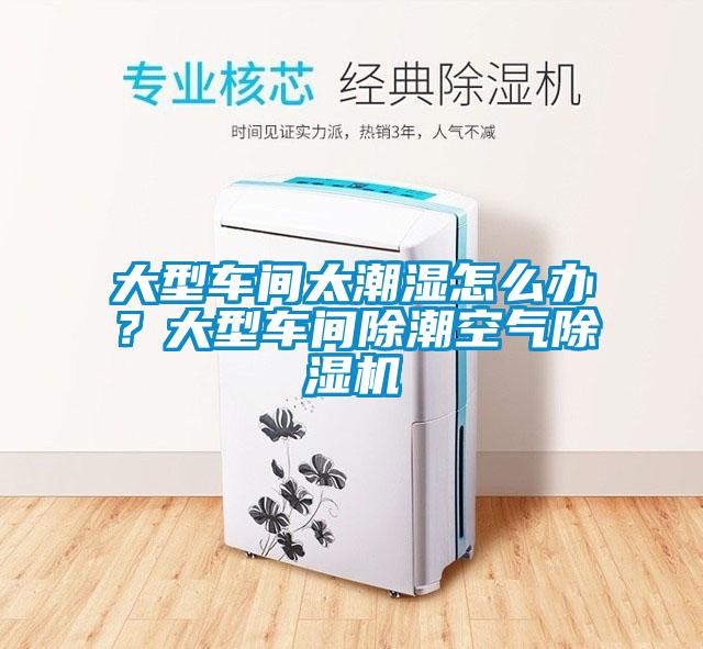 大型車間太潮濕怎么辦?大型車間除潮空氣除濕機