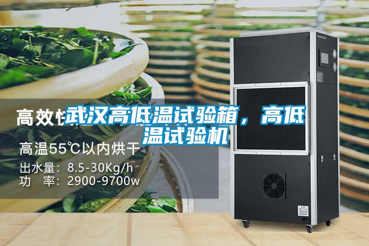 武漢高低溫試驗箱,高低溫試驗機