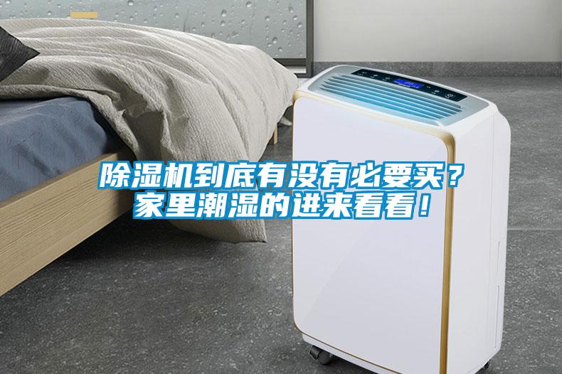 除濕機到底有沒有必要買？家里潮濕的進來看看！