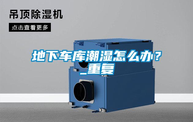 地下車庫潮濕怎么辦？_重復