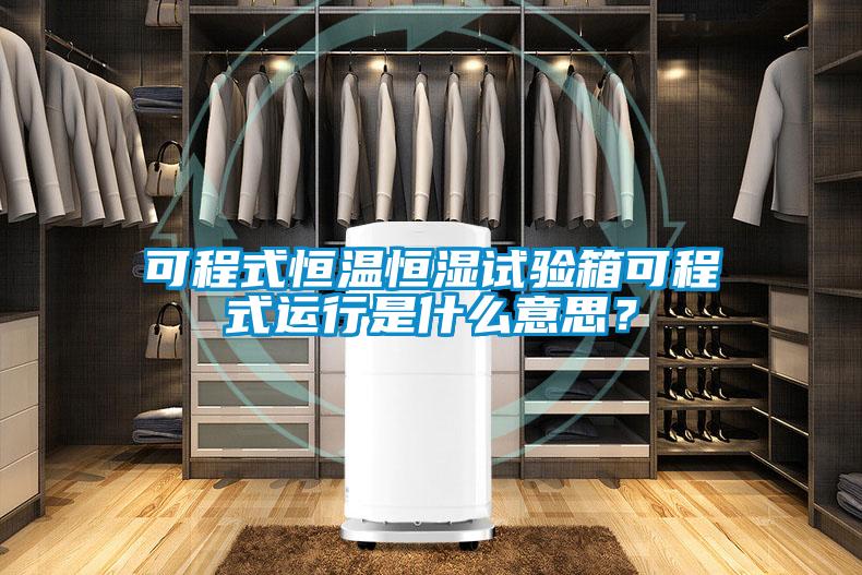 可程式恒溫恒濕試驗箱可程式運行是什么意思?