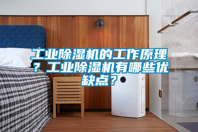 工業(yè)除濕機(jī)的工作原理?工業(yè)除濕機(jī)有哪些優(yōu)缺點(diǎn)?