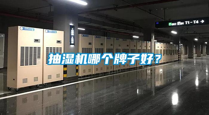 抽濕機(jī)哪個(gè)牌子好?