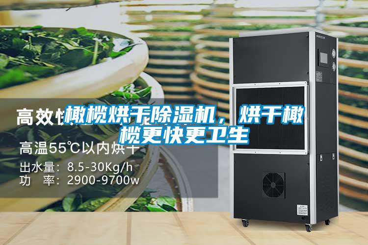 橄欖烘干除濕機，烘干橄欖更快更衛生