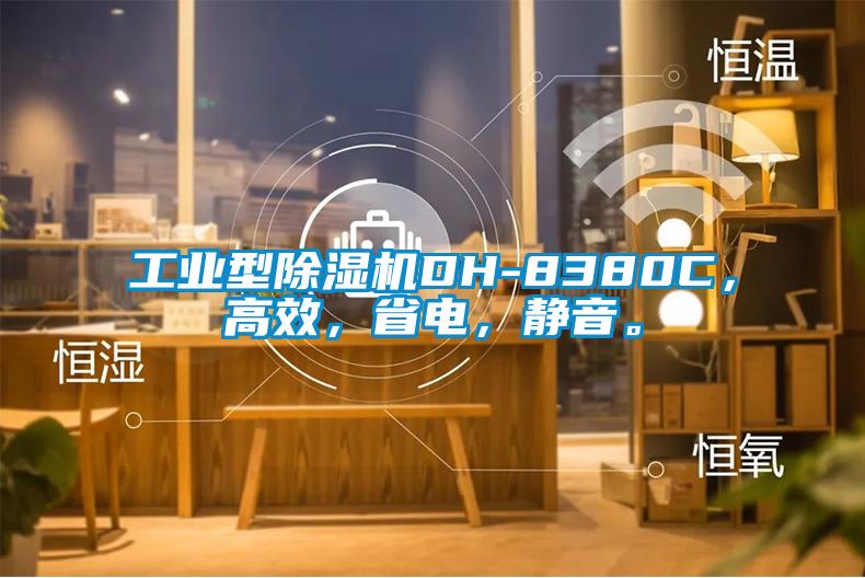 工業(yè)型除濕機(jī)DH-8380C,高效,省電,靜音。