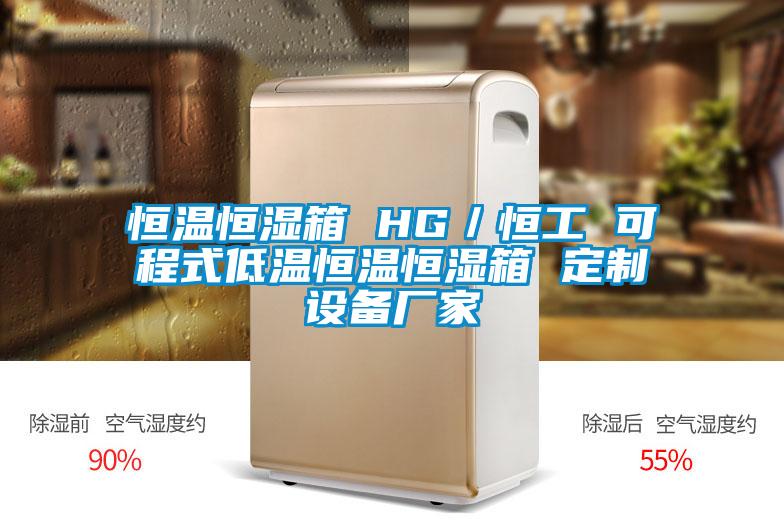 恒溫恒濕箱 HG/恒工 可程式低溫恒溫恒濕箱 定制設備廠家