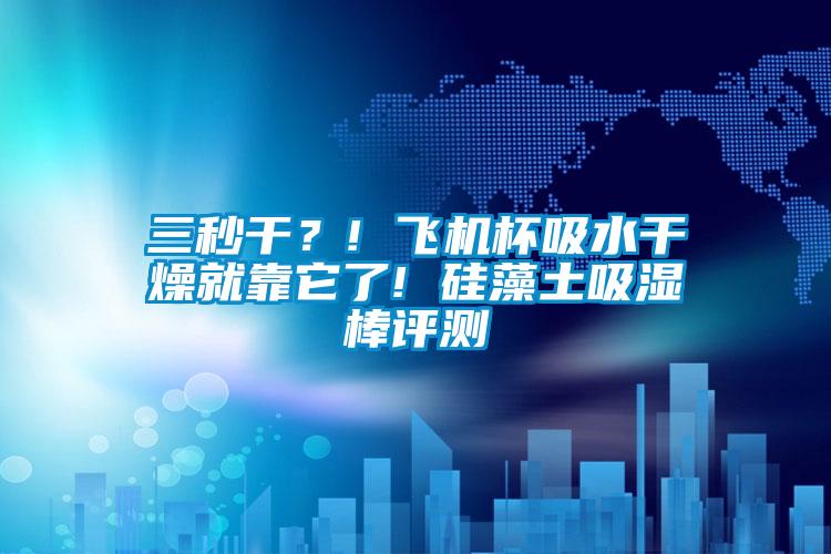 三秒干?! 飛機杯吸水干燥就靠它了! 硅藻土吸濕棒評測