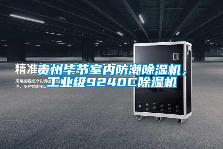 貴州畢節室內防潮除濕機，工業級9240C除濕機