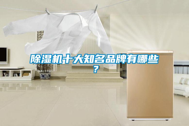 除濕機(jī)十大知名品牌有哪些？