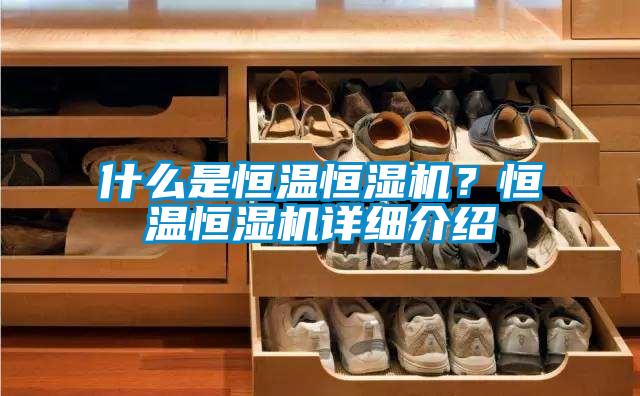 什么是恒溫恒濕機(jī)?恒溫恒濕機(jī)詳細(xì)介紹