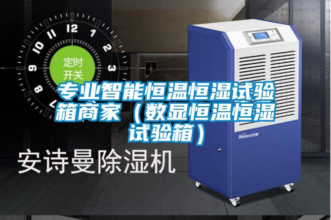 專業(yè)智能恒溫恒濕試驗箱商家(數(shù)顯恒溫恒濕試驗箱)