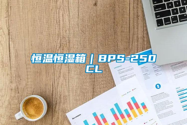 恒溫恒濕箱|BPS-250CL