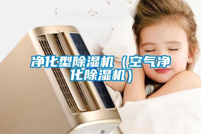 凈化型除濕機(jī)(空氣凈化除濕機(jī))