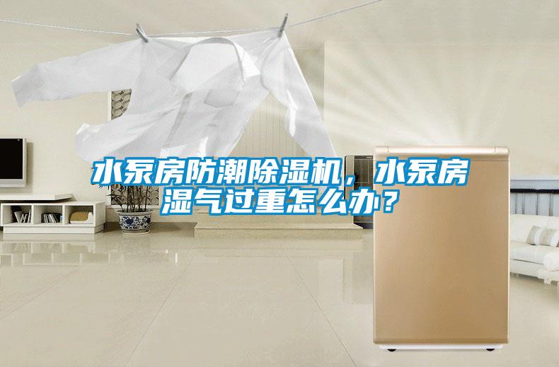 水泵房防潮除濕機(jī),水泵房濕氣過(guò)重怎么辦?