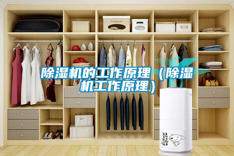 除濕機的工作原理(除濕機工作原理)