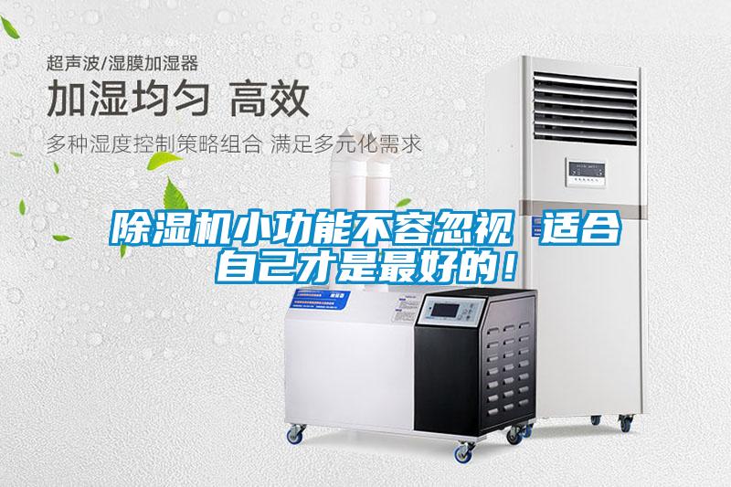 除濕機小功能不容忽視 適合自己才是最好的!