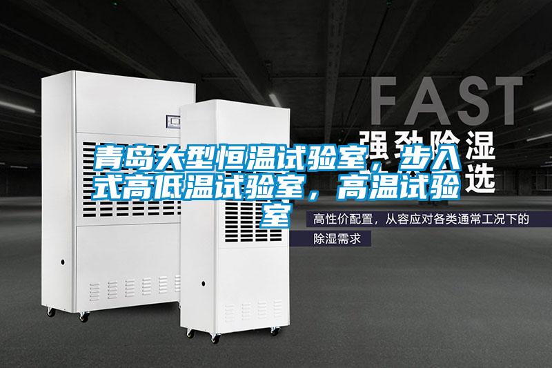 青島大型恒溫試驗室，步入式高低溫試驗室，高溫試驗室