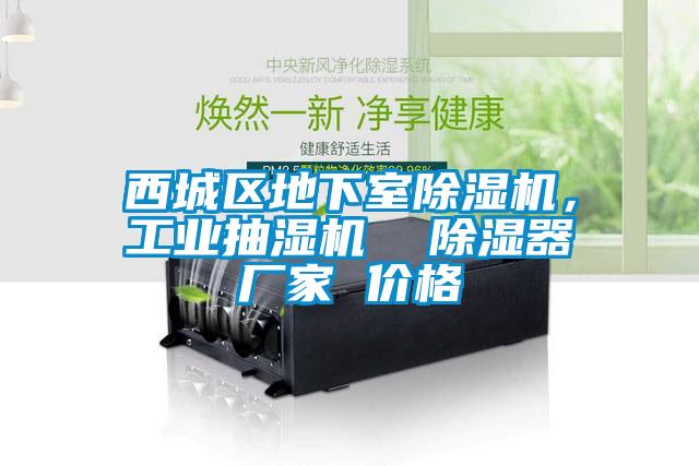 西城區地下室除濕機,工業抽濕機  除濕器廠家 價格