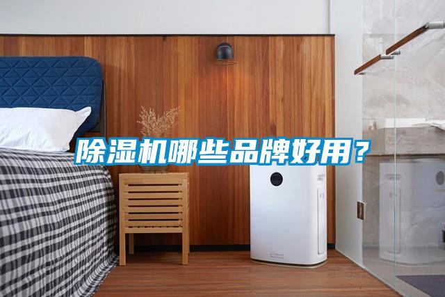 除濕機哪些品牌好用?