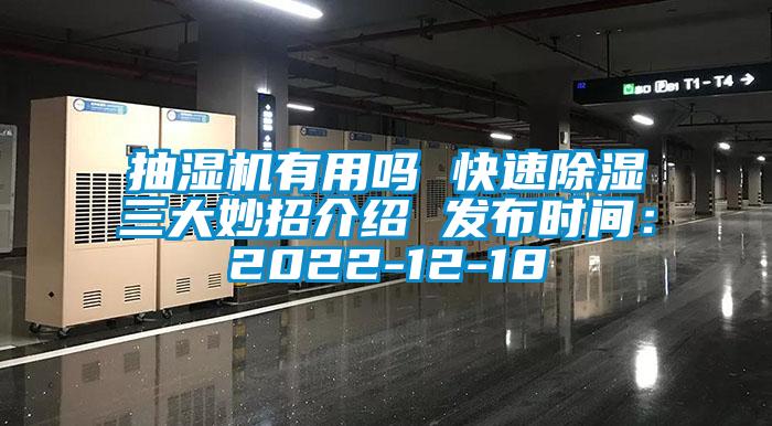 抽濕機(jī)有用嗎 快速除濕三大妙招介紹 發(fā)布時(shí)間:2022-12-18