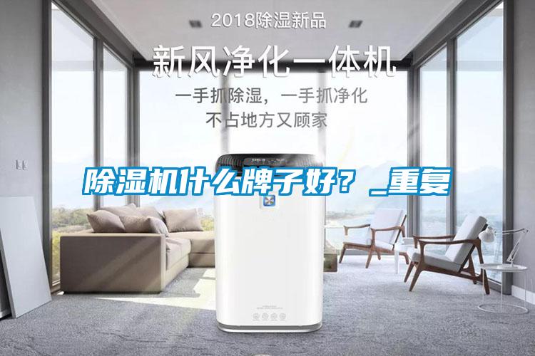 除濕機什么牌子好?_重復