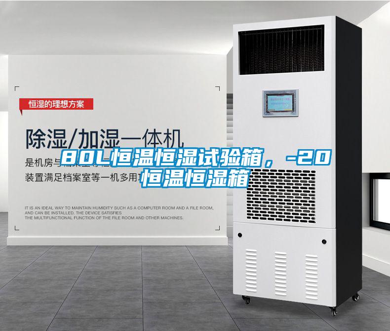 80L恒溫恒濕試驗箱,-20℃恒溫恒濕箱