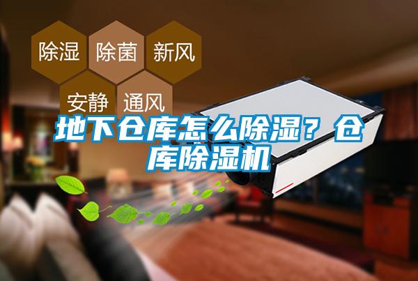 地下倉庫怎么除濕？倉庫除濕機