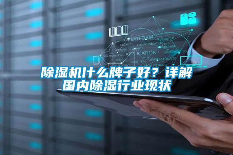 除濕機什么牌子好？詳解國內除濕行業現狀