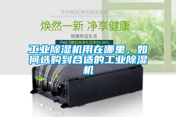 工業除濕機用在哪里,如何選購到合適的工業除濕機