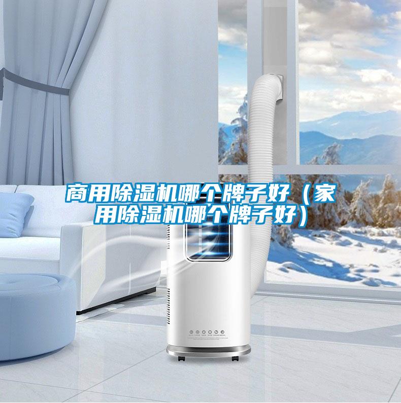 商用除濕機哪個牌子好(家用除濕機哪個牌子好)