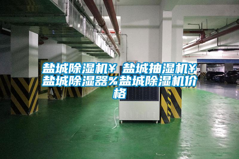 鹽城除濕機¥鹽城抽濕機¥鹽城除濕器%鹽城除濕機價格