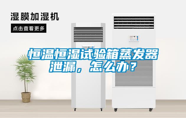 恒溫恒濕試驗箱蒸發器泄漏,怎么辦?