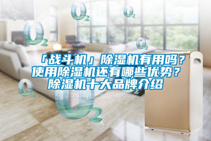 「戰斗機」除濕機有用嗎?使用除濕機還有哪些優勢?除濕機十大品牌介紹