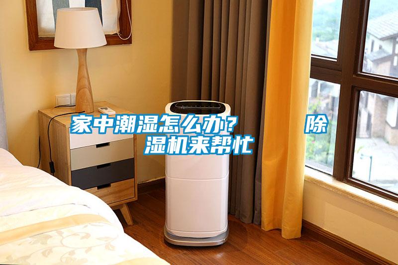 家中潮濕怎么辦？    除濕機(jī)來幫忙