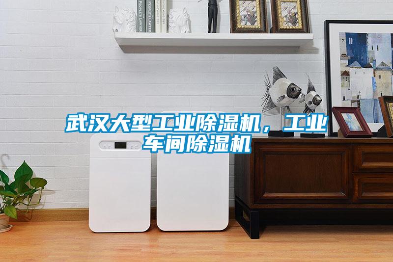 武漢大型工業除濕機,工業車間除濕機